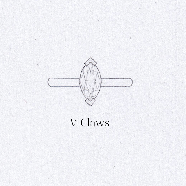 V claws drawing