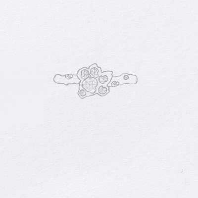 drawing of an organic ring